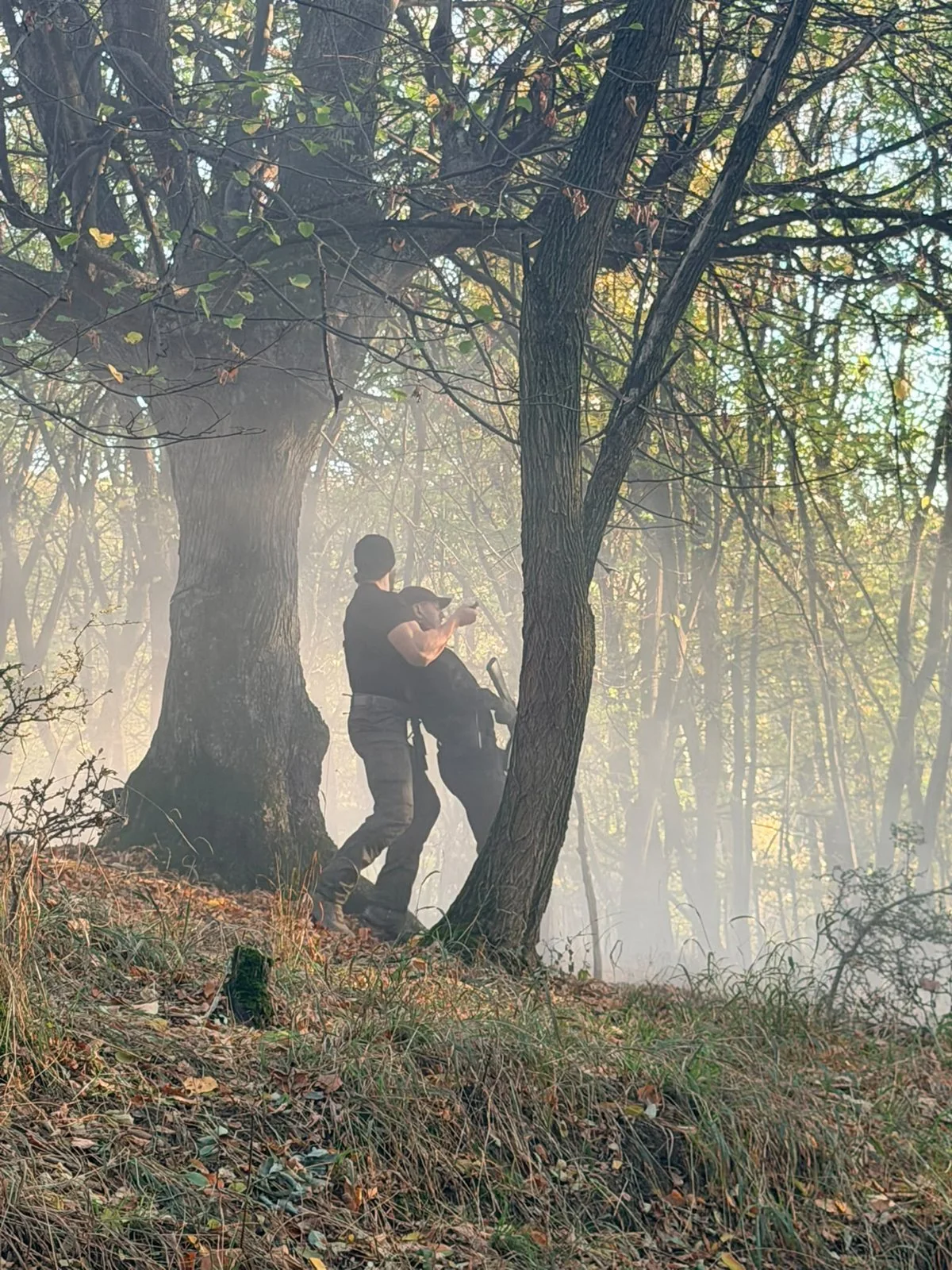 Action scene in a misty woodland